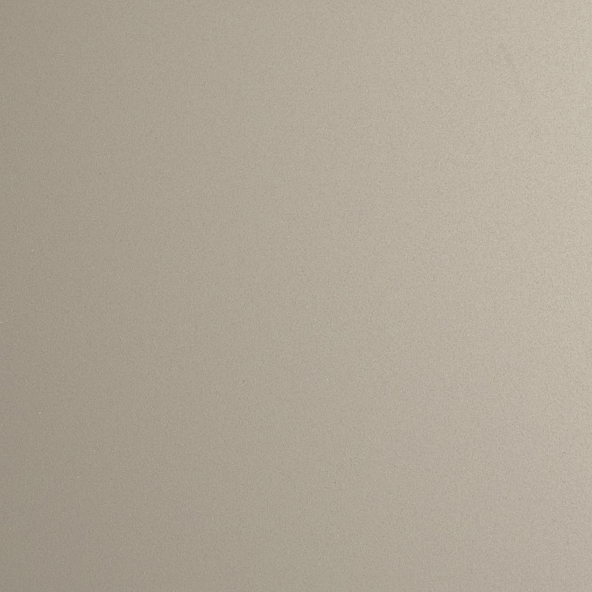 Polished Cream Champagne